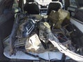 Photo 12 of 18 — 2023 Land Rover Range Rover Evoque