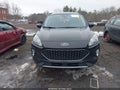 Photo 13 of 17 — 2020 Ford Escape