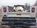 Photo 15 of 15 — 2024 Chevrolet Silverado 2500