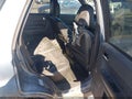 Photo 8 of 17 — 2012 Ford Escape
