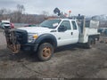 2015 Ford F-550 Chassis — photo 2 of 17 | VIN 1FD0X5HT5FEB13506