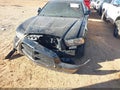 Photo 6 of 20 — 2014 Dodge Charger