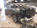 2024 BMW X6 — photo 3 of 22 | VIN 5UX33EX0XR9T80883