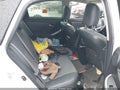 Photo 8 of 17 — 2013 Toyota Prius
