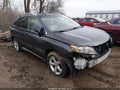 Photo 1 of 17 — 2010 Lexus RX 350