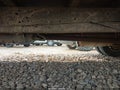 Photo 18 of 18 — 2024 Ford E-450
