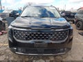 Photo 13 of 17 — 2025 Kia Carnival