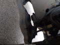 2017 Toyota Tacoma — photo 20 of 21 | VIN 5TFAX5GN8HX090581