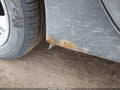 2010 Honda Insight — photo 13 of 14 | VIN JHMZE2H79AS040104