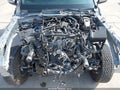 Photo 10 of 19 — 2024 Toyota Tacoma