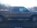 Photo 13 of 16 — 2012 Ford F-150