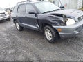 2004 Hyundai Santa Fe — photo 6 of 17 | VIN KM8SC13D64U841643
