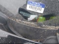 Photo 11 of 13 — 2009 Nissan Maxima