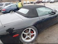 Photo 6 of 16 — 2001 Chevrolet Corvette