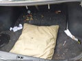 2009 Nissan Altima — photo 11 of 13 | VIN 1N4AL21E39N545620