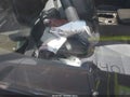 2024 Lexus RX — photo 18 of 18 | VIN JTJCJMGA0R2014303