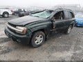 2002 Chevrolet Trailblazer — photo 2 of 17 | VIN 1GNDT13S722512509