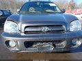 2005 Hyundai Santa Fe — photo 6 of 11 | VIN KM8SC13D45U994913