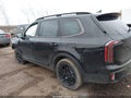 2025 Kia Telluride — photo 14 of 16 | VIN 5XYP5DGC2SG645852