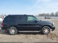 2004 Cadillac Escalade — photo 14 of 22 | VIN 1GYEC63TX4R249133