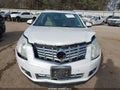 2013 Cadillac SRX — photo 12 of 16 | VIN 3GYFNEE35DS638376