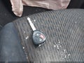 Photo 11 of 17 — 2010 Toyota 4Runner