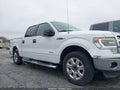 Photo 13 of 17 — 2014 Ford F-150