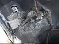 Photo 6 of 17 — 2024 Toyota RAV4 Prime