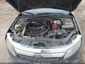 2010 Ford Fusion — photo 10 of 11 | VIN 3FAHP0HA8AR108210