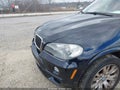 Photo 6 of 11 — 2010 BMW X5