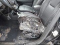 2020 Jeep Renegade — photo 14 of 15 | VIN ZACNJBD14LPL83292
