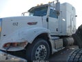 2009 Peterbilt 386 — photo 15 of 18 | VIN 1XPHDU9X69D774093