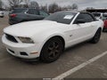 2012 Ford Mustang — photo 2 of 16 | VIN 1ZVBP8EM2C5279342