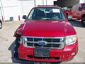 Photo 13 of 17 — 2010 Ford Escape