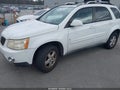 2006 Pontiac Torrent — photo 2 of 14 | VIN 2CKDL73F466029088