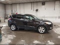 Photo 13 of 18 — 2013 Ford Escape