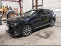 2023 Mazda CX-9 — photo 2 of 16 | VIN JM3TCBDY1P0642132