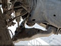 Photo 18 of 19 — 2019 Toyota 4Runner