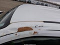 Photo 18 of 21 — 2024 Toyota Tacoma
