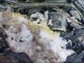 2025 Mazda CX-5 — photo 10 of 12 | VIN JM3KFBCL2S0666456