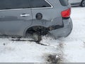 2011 Acura MDX — photo 6 of 13 | VIN 2HNYD2H29BH508811