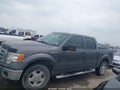 Photo 14 of 16 — 2010 Ford F-150
