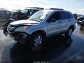 2010 Honda CR-V — photo 2 of 16 | VIN 5J6RE4H5XAL060023