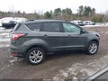 Photo 13 of 16 — 2017 Ford Escape