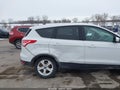 Photo 6 of 16 — 2016 Ford Escape