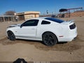 Photo 14 of 16 — 2014 Ford Mustang