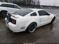 2006 Ford Mustang — photo 4 of 16 | VIN 1ZVFT82H665165434