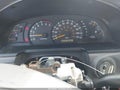 2004 Toyota Tundra — photo 7 of 16 | VIN 5TBRN34124S438804
