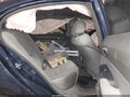 Photo 8 of 16 — 2006 Honda Civic
