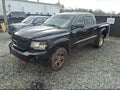 2010 Dodge Dakota — photo 2 of 12 | VIN 1D7RW3GP9AS228505